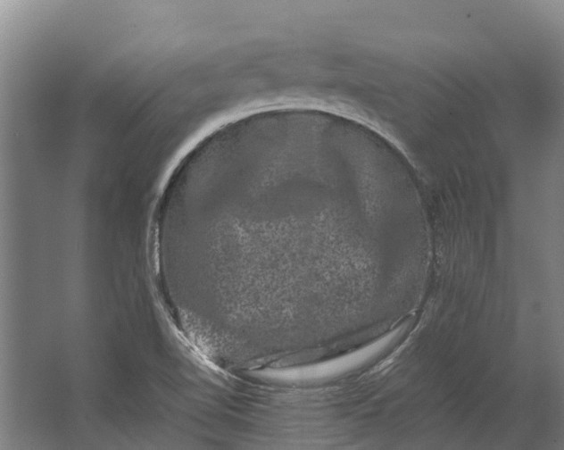 X0000062631510200601041018