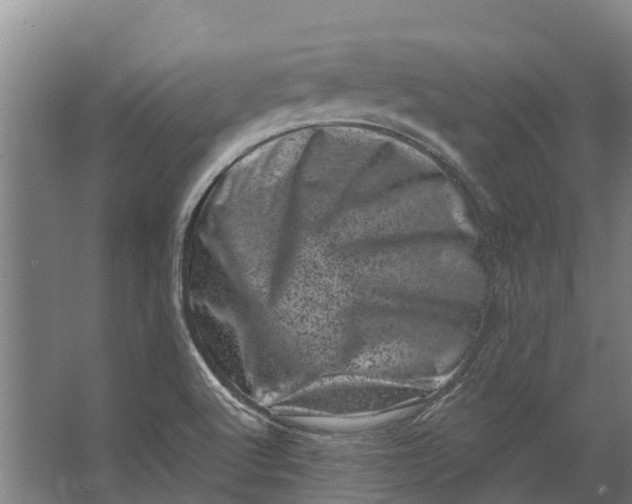 X0000062631512200601041018