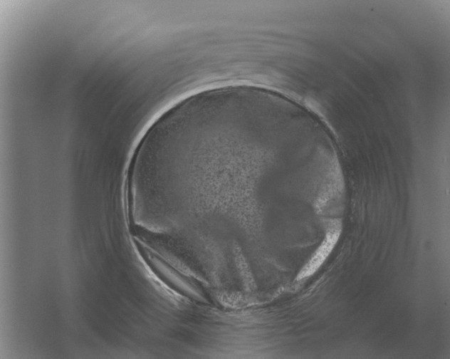 X0000062631516200601041018