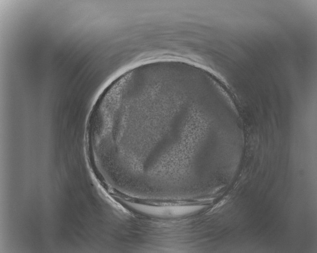 X0000062631518200601041018