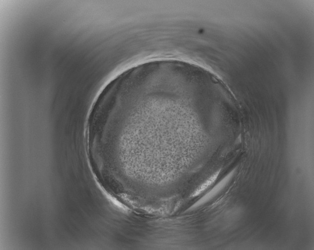 X0000062631519200601041018