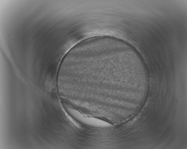 X0000062631521200601041018