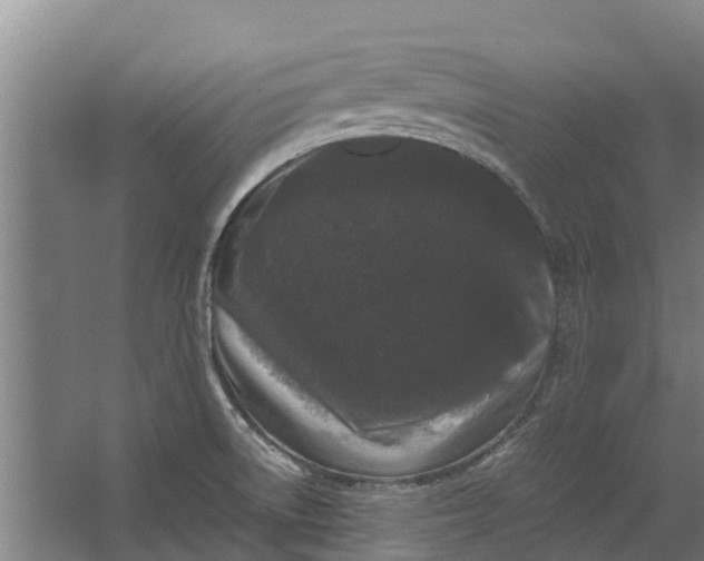 X0000062631522200601041018