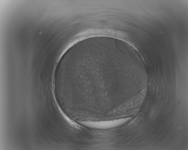 X0000062631523200601041018