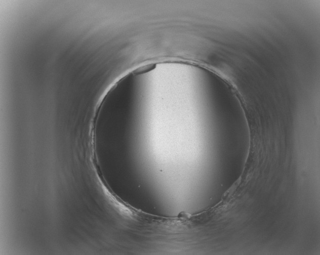 X0000062631524200601041018