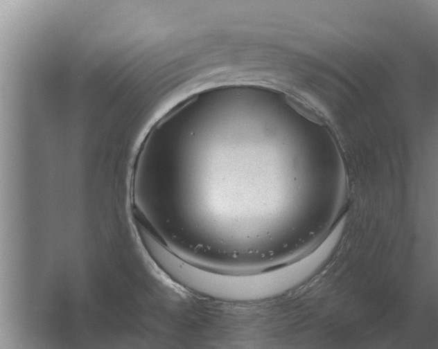 X0000062631528200601041018