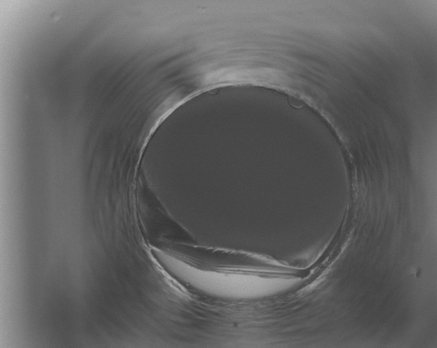 X0000062631529200601041018