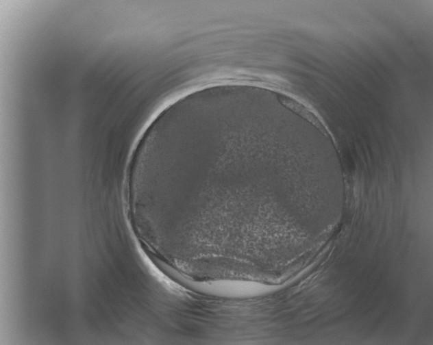 X0000062631531200601041018