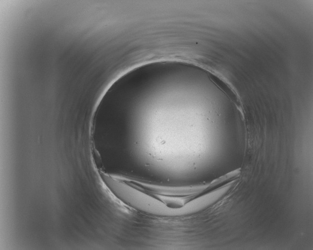 X0000062631532200601041018