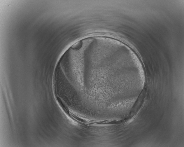 X0000062631533200601041018