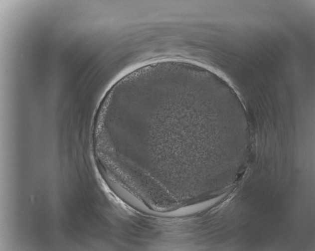 X0000062631534200601041018