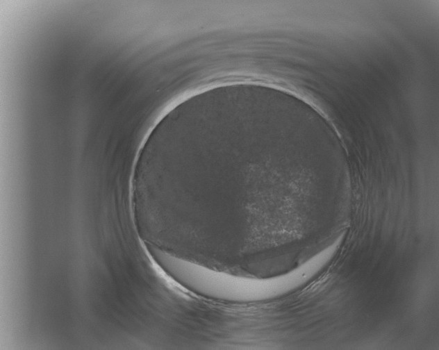 X0000062631535200601041018