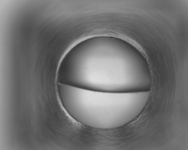 X0000062631536200601041018