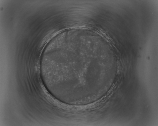 X0000062630002200601111112