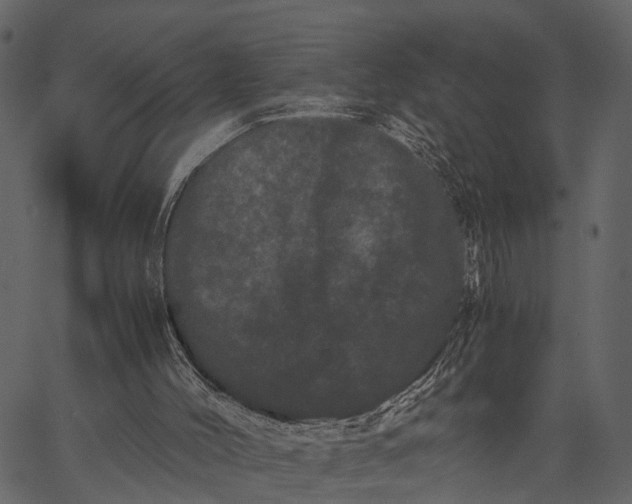 X0000062630004200601111112