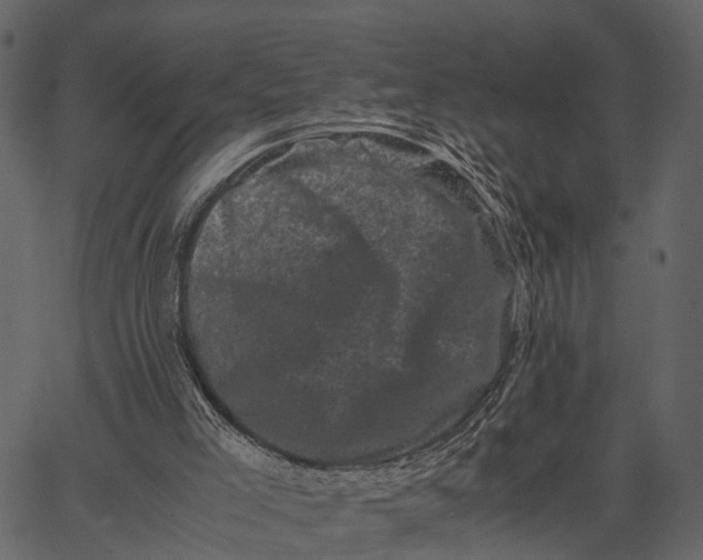 X0000062630005200601111112