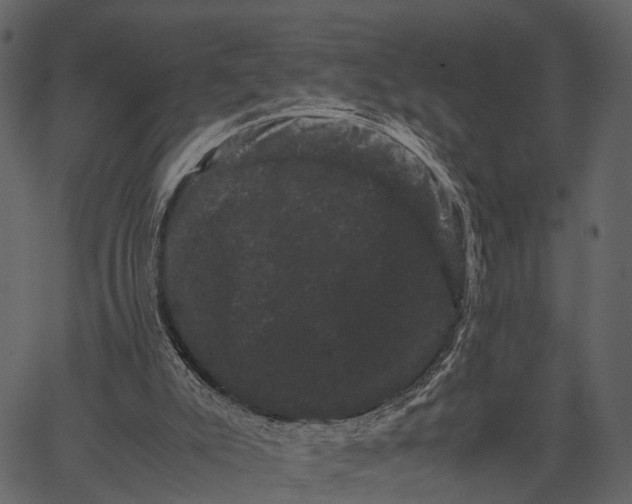 X0000062630007200601111112