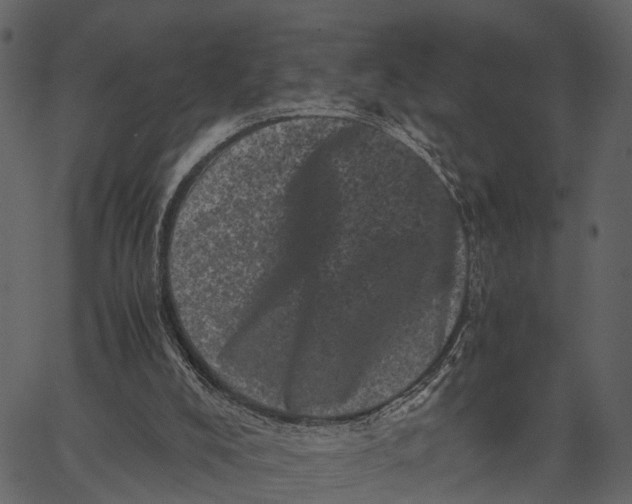 X0000062630008200601111112