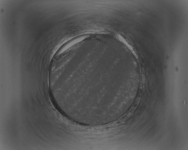 X0000062630011200601111112