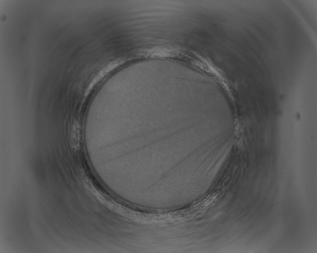 X0000062630012200601111112