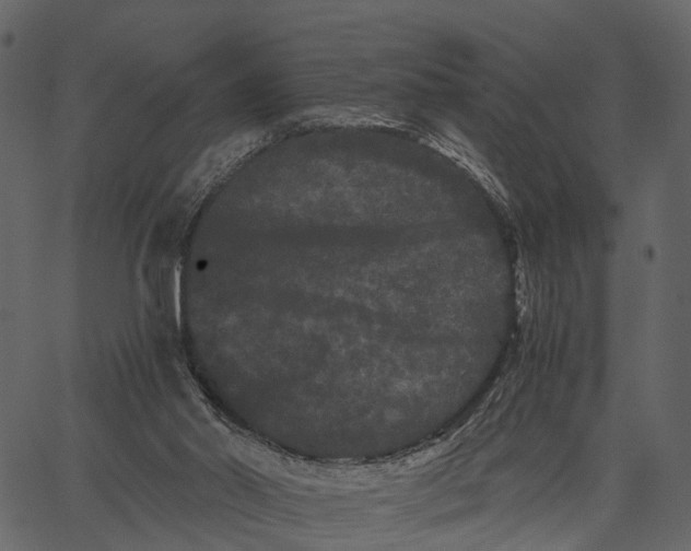 X0000062630014200601111112