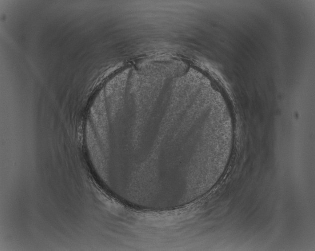 X0000062630017200601111112