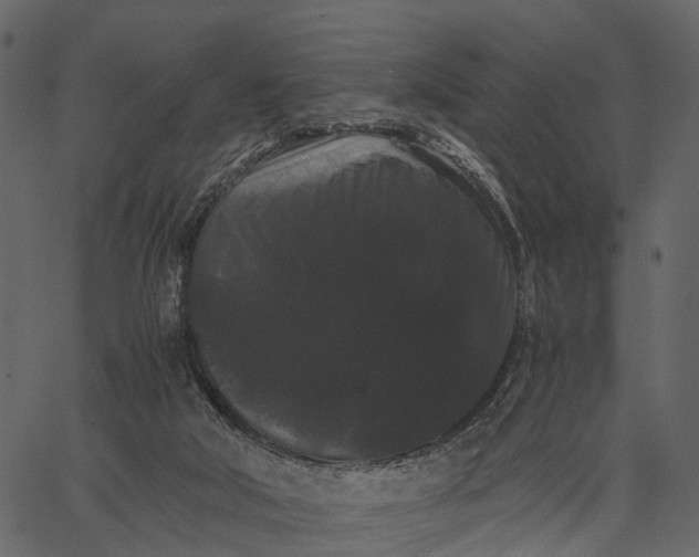 X0000062630018200601111112