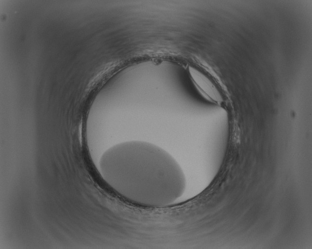 X0000062630019200601111111