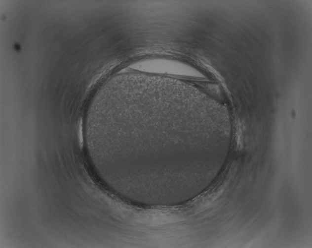 X0000062630020200601111111