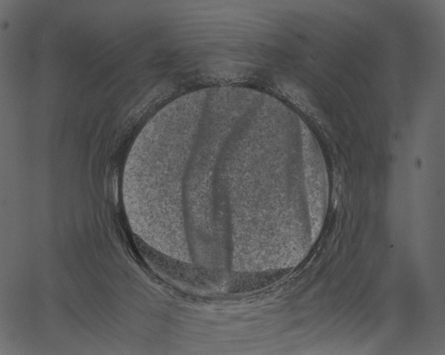 X0000062630021200601111111