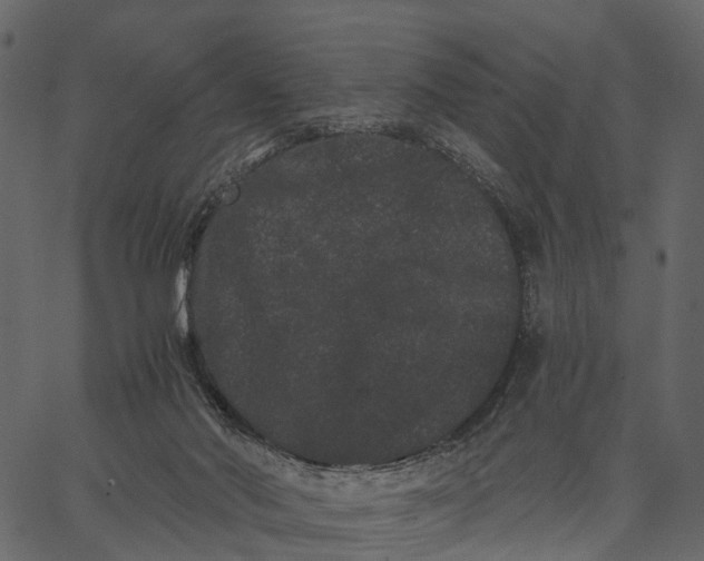 X0000062630022200601111111