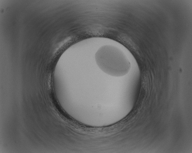 X0000062630023200601111111