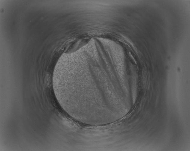 X0000062630025200601111111