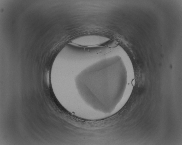 X0000062630027200601111111