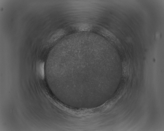 X0000062630028200601111111