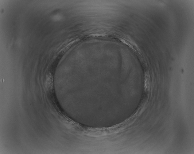 X0000062630029200601111111