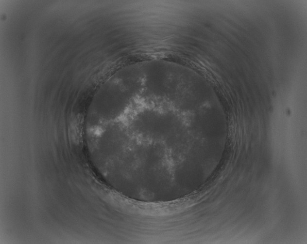 X0000062630030200601111111