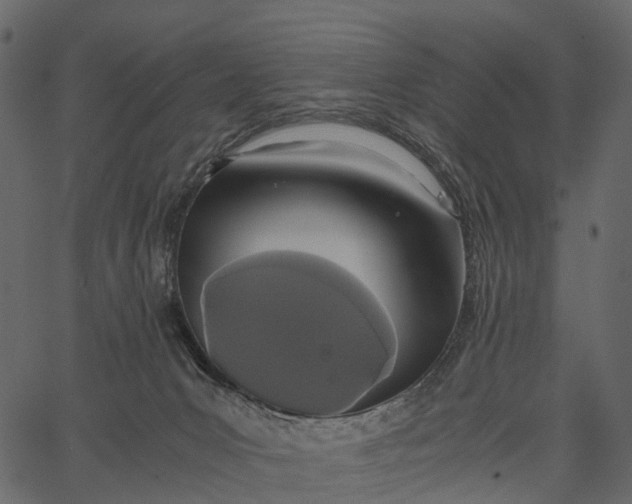 X0000062630031200601111111