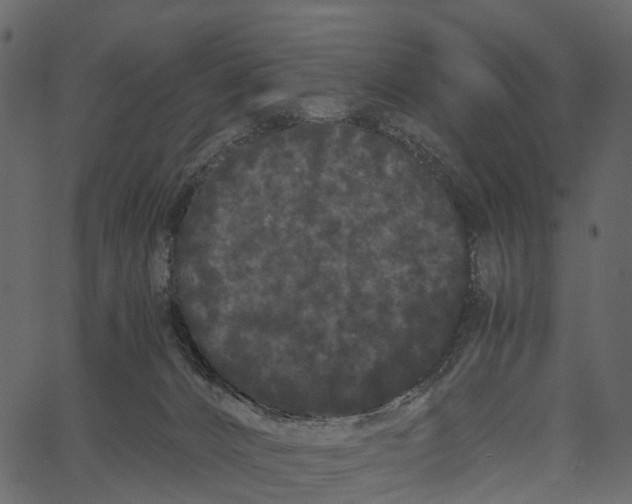 X0000062630032200601111111