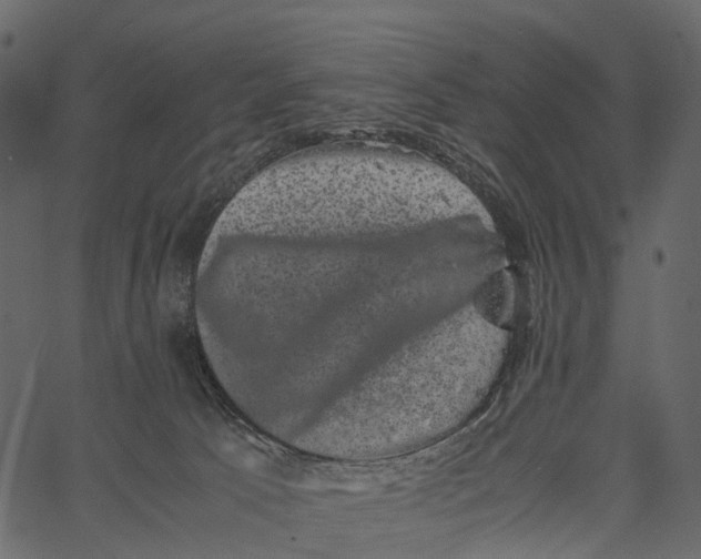 X0000062630033200601111111