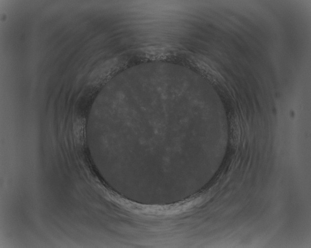 X0000062630034200601111111