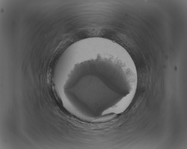 X0000062630035200601111111