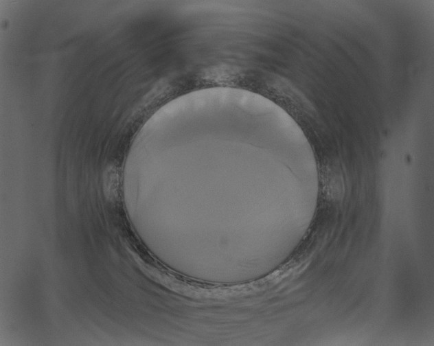 X0000062630036200601111111