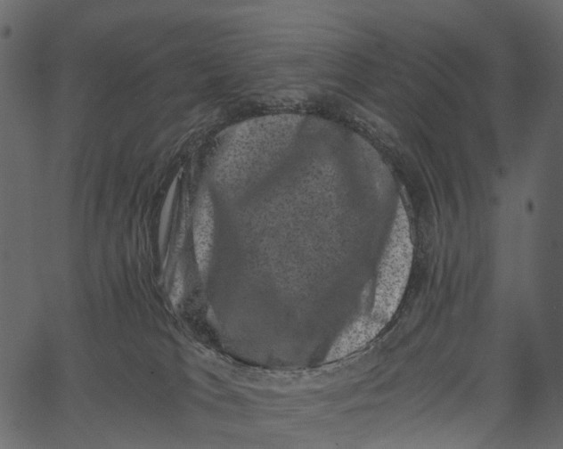 X0000062630037200601111111