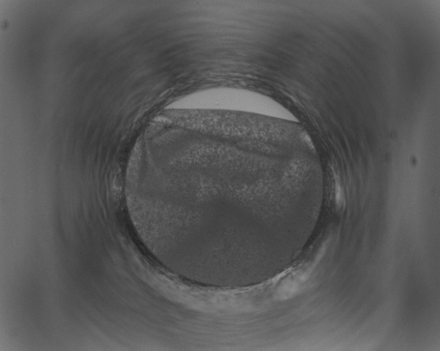 X0000062630040200601111111