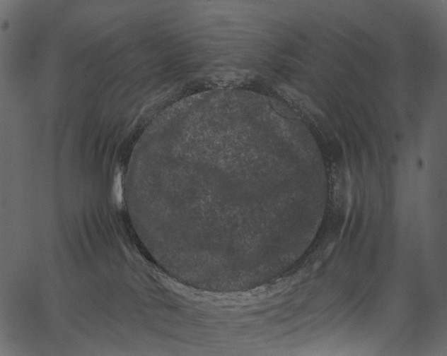 X0000062630042200601111111