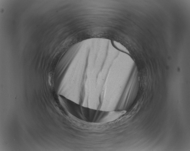 X0000062630044200601111111