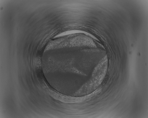 X0000062630048200601111111