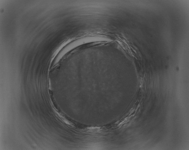 X0000062630052200601111110