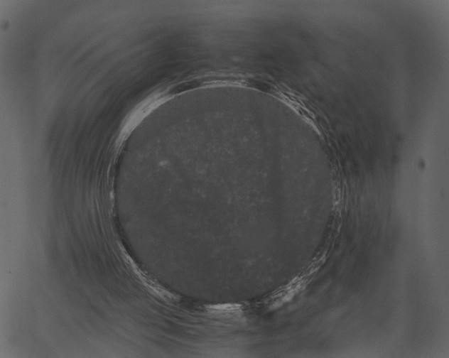 X0000062630053200601111110